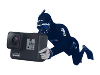 専属水中カメラマン